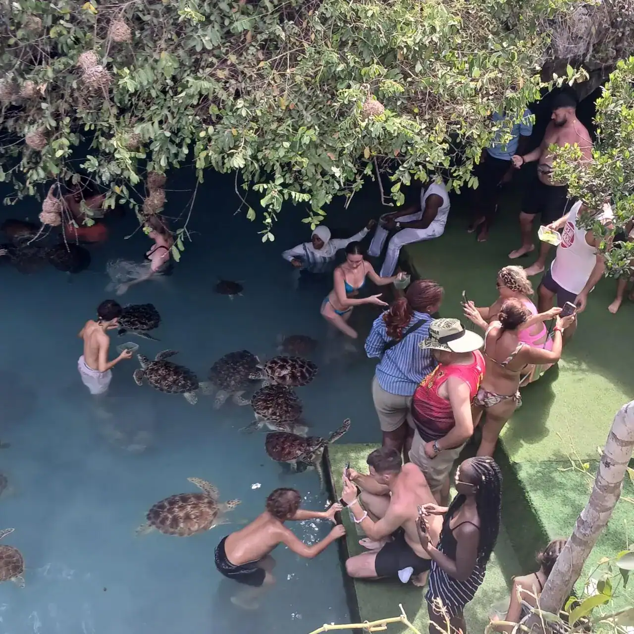 🕓ZANZIBAR: Prison Island and Salaam Cave Turtles Swim Explore