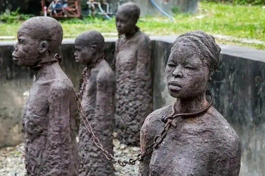🕓Zanzibar: Prison Island& Stone Town Private Tour + Pickup
