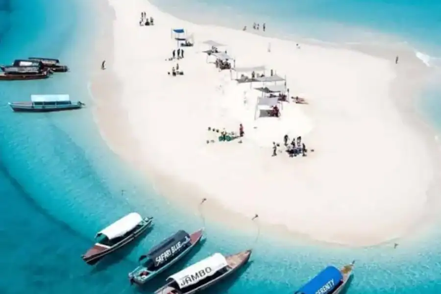 🕓ZANZIBAR: SAFARI BLUE PRIVATE TOUR (KWALE ISLAND)& SEA FOOD