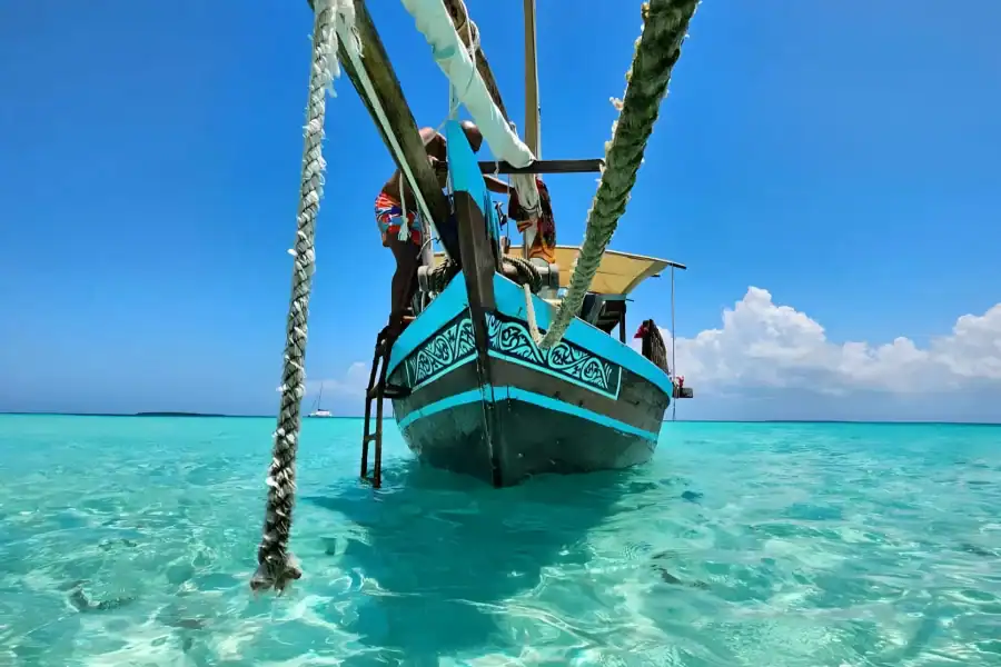 🕓Zanzibar: Safari Blue Snorkeling and Sandbank Tour
