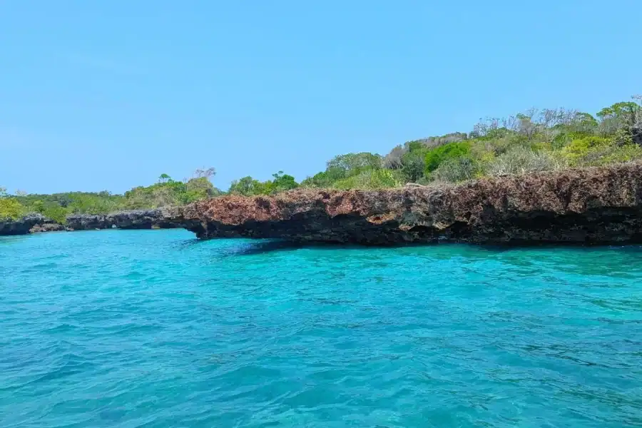 🕓Zanzibar: Safari Blue Snorkeling, Cruise& Seafood Lunch