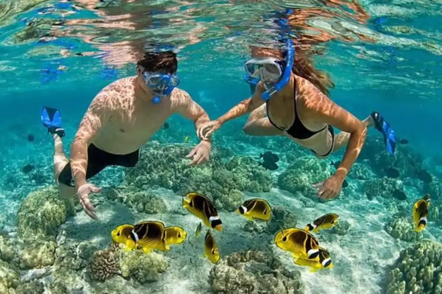 🕓Zanzibar: Safari Blue Snorkeling& Lunch Cruise