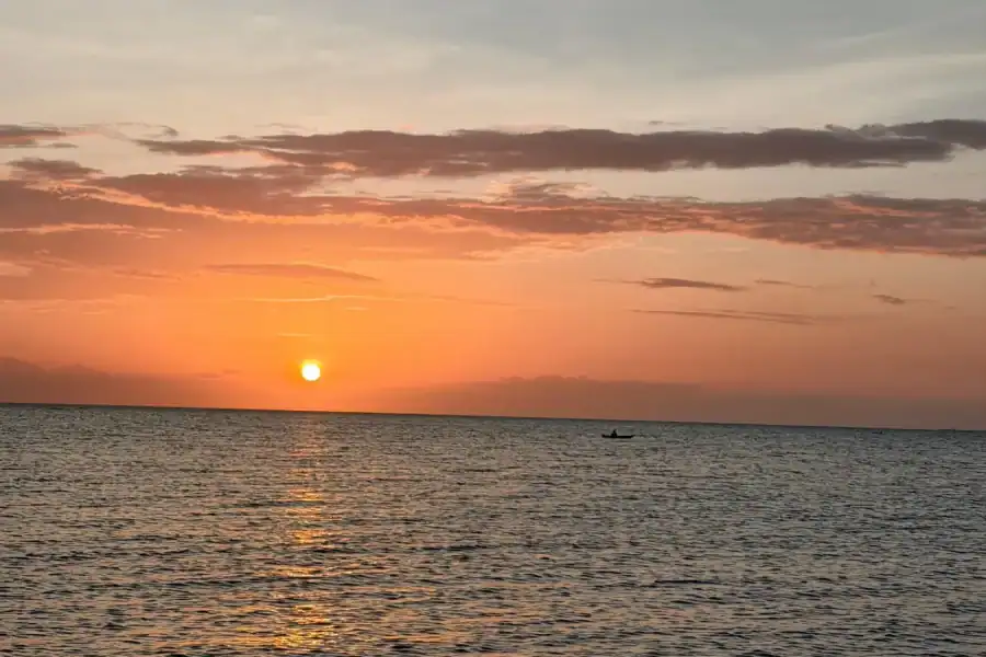 🕓Zanzibar: Safari blue Sunset Dhow Cruise 3-Hour Trip