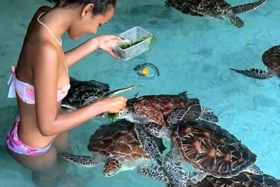 🕓Zanzibar: Salaam Cave Turtle& Sunset Ngalawa Trip