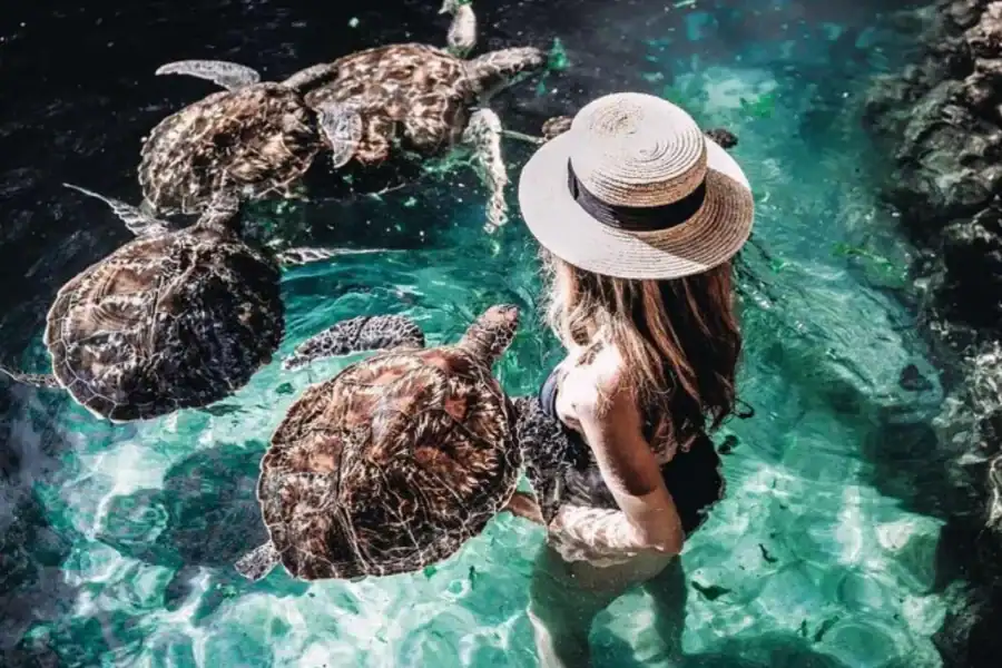 🕓Zanzibar: Salam Cave, Prison Island and Mtende Beach Tour