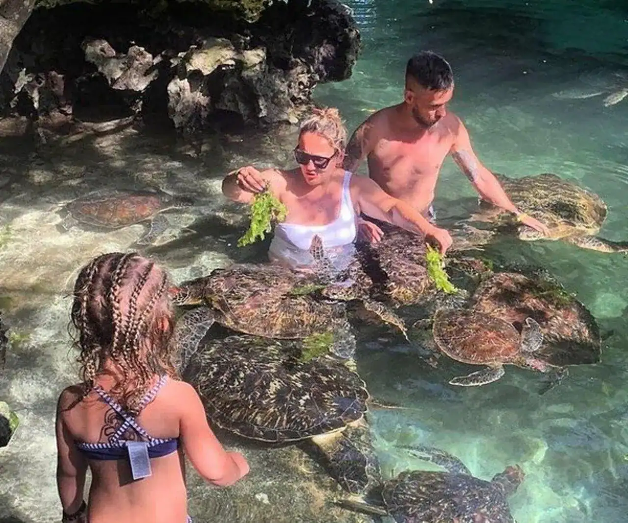 🕓Zanzibar: Sea Turtle Swim at Baraka Aquarium, Nungwi