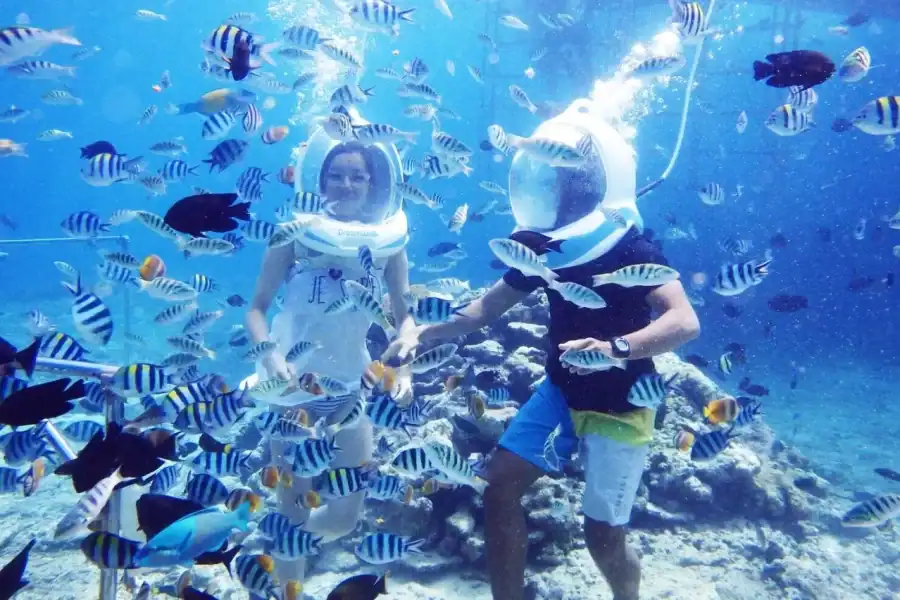 🕓Zanzibar: Sea Walk Adventure and Sea Turtle Sanctuary Tour