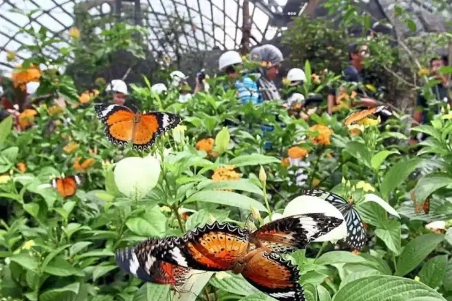 🕓Zanzibar: Spice Farm, Butterfly Sanctuary, and Salaam Cave