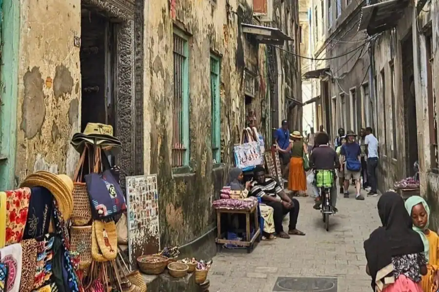 🕓Zanzibar spice farm with stone town guided tour