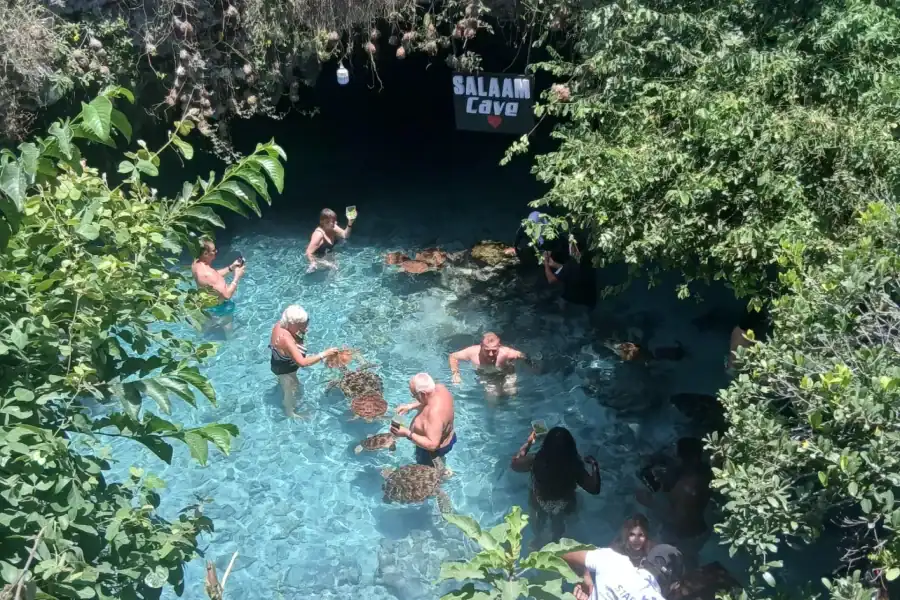 🕓ZANZIBAR: Spice farm,Salam cave& Stone town tour + pick up