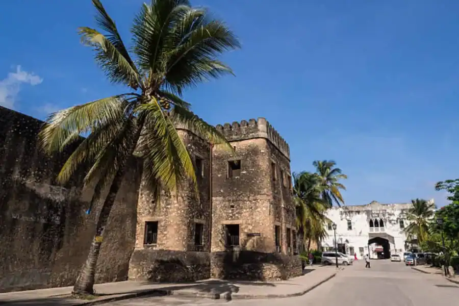 🕓Zanzibar Stone Town with Local Market Guided Walking Tour