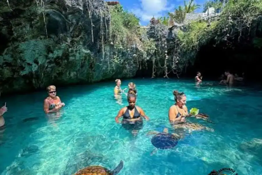 🕓Zanzibar: Swimming with Turtles at Salaam Cave& Entry Fee