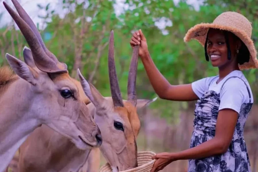 🕓Zanzibar Zakir Wildlife Park: Feed Giraffes& Zebras + Entry