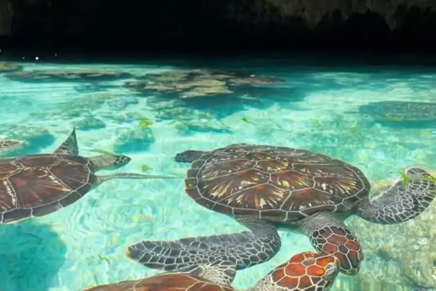 🕓Zanzibar:⭐ Private Salam Cave& Mtende Beach Experience ⭐