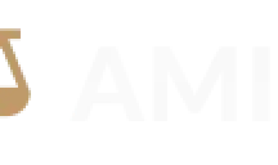 Amity Legal Firm Demo  (Cape Verde)