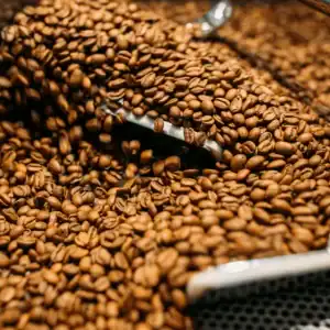 Webzzy Coffee Company Demo  (Kenya)