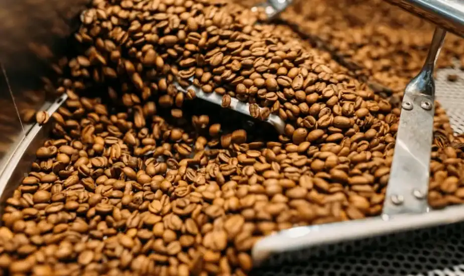 Webzzy Coffee Company Demo  (Kenya) Webzzy Coffee Company Demo  (Kenya)