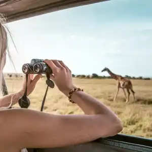 African Safari Linked DEMO (Kenya)