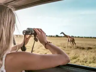 African Safari Linked DEMO (Kenya)