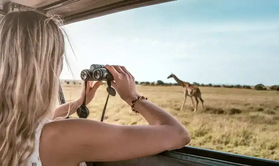 African Safari Linked DEMO (Kenya) African Safari Linked DEMO (Kenya)