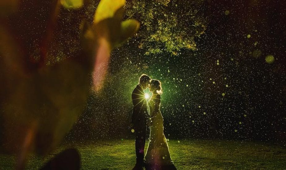 John Smith Photographer Demo (Botswana)