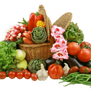 Ecostore (Seychelles)