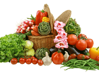 Ecostore (Seychelles)