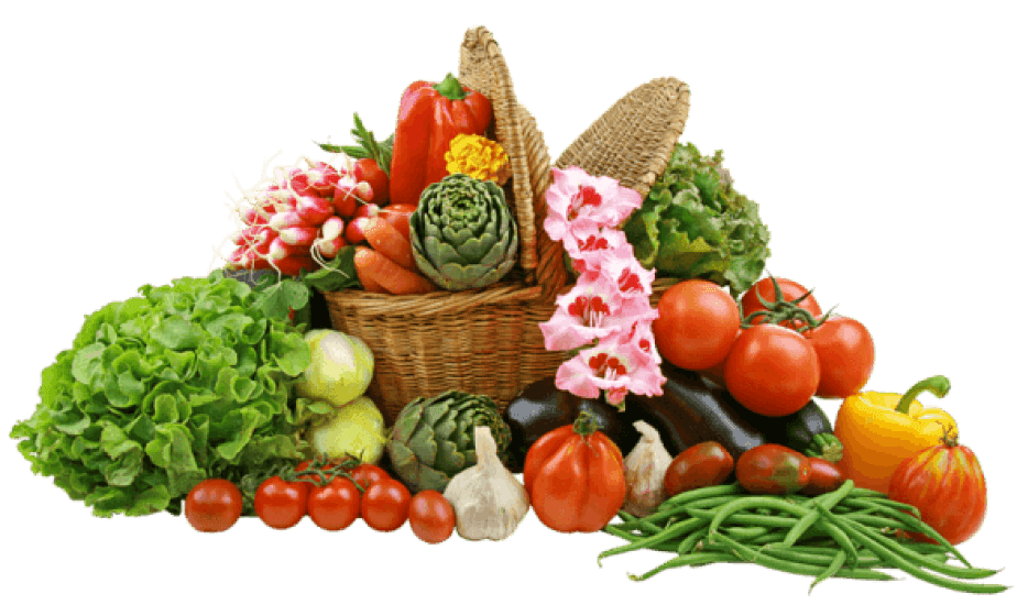 Ecostore (Seychelles) Ecostore (Seychelles)