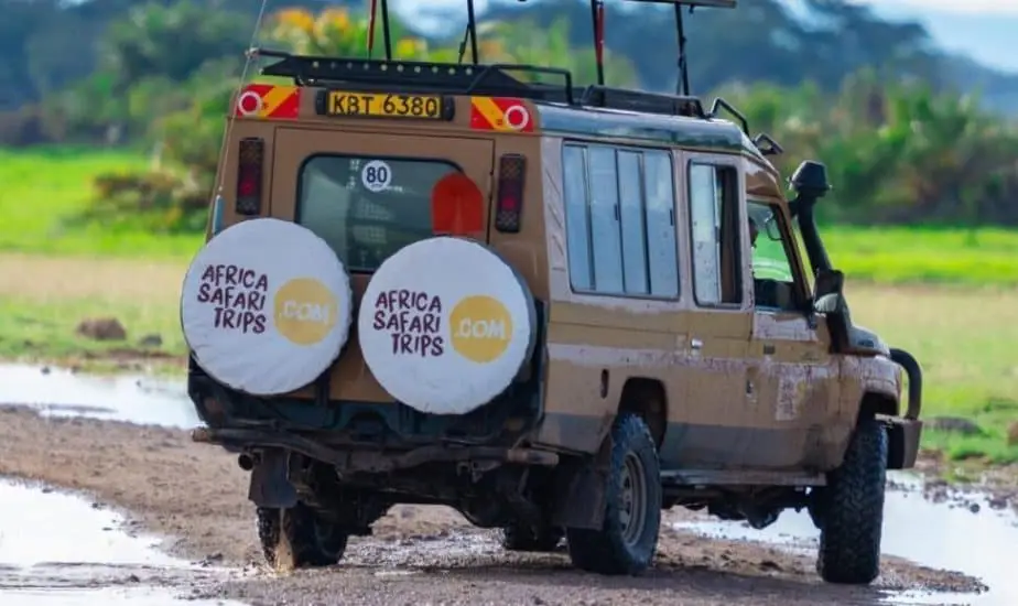 African Safari Linked DEMO (Kenya)